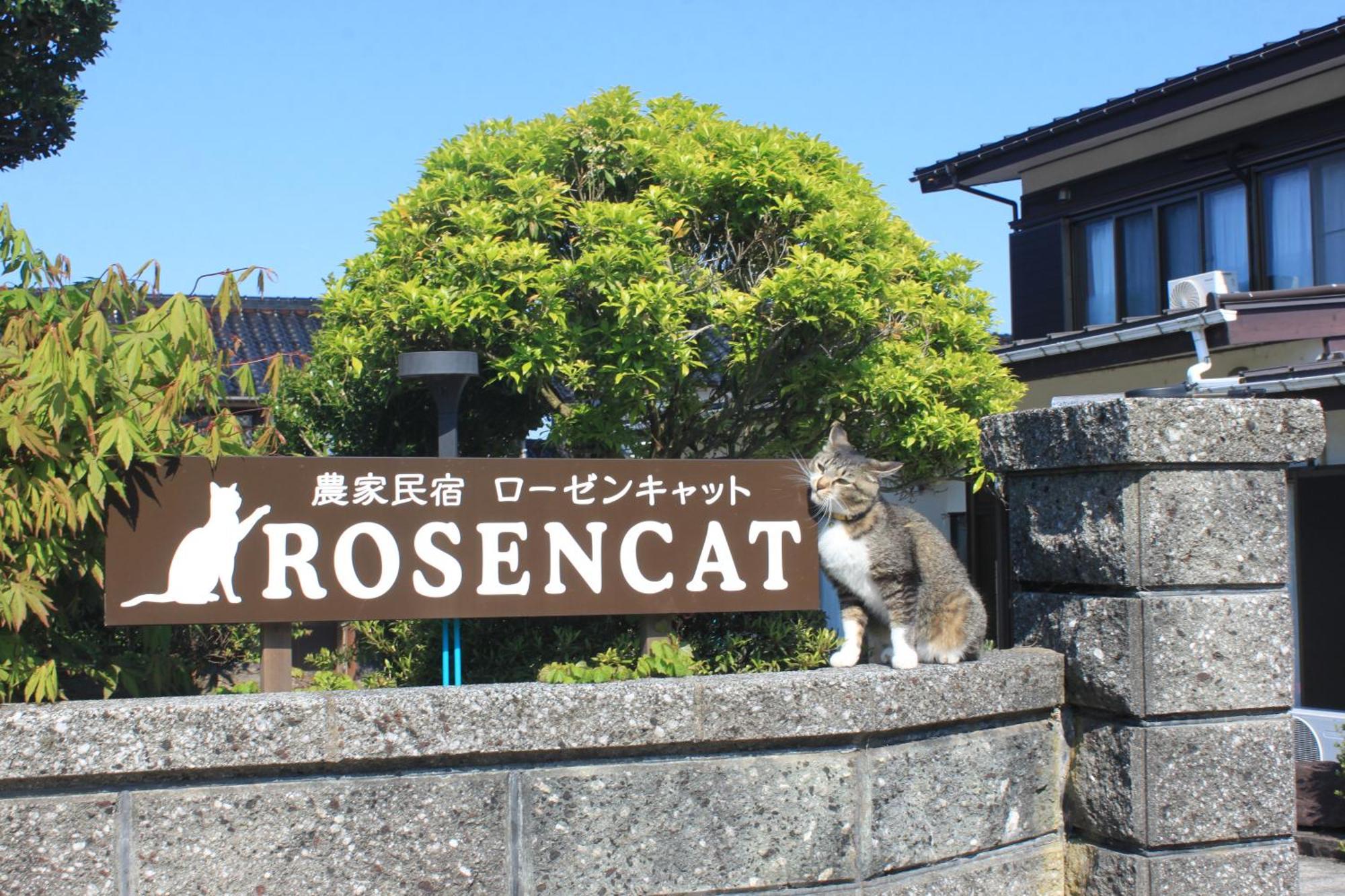 Rosencat Villa Sado Ngoại thất bức ảnh